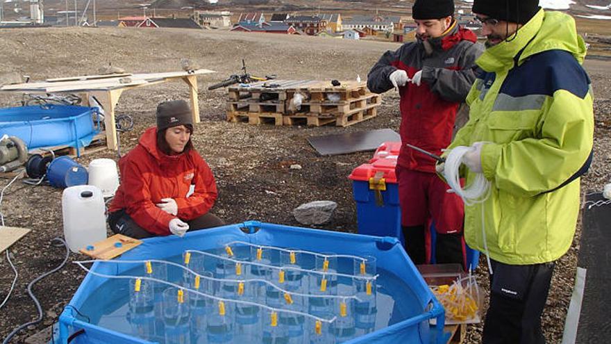 Polo Norte. Los investigadores montan los equipos donde someterán a las algas a condiciones extremas y a la sobreexposición de dióxido de carbono.