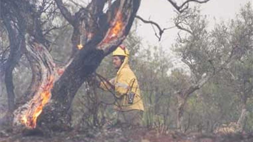 Alerta por `riesgo extremo´ de incendios en el sur de Badajoz