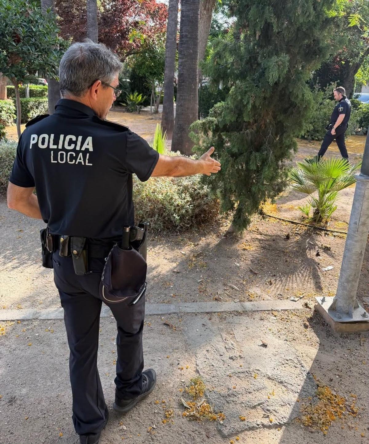 Los agentes detectan las heces.