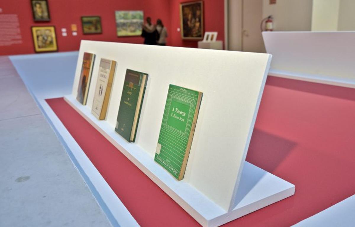 Exposición «Un país ilustrado. As cubertas de Galaxia». MARCO de Vigo. Febrero 2026. Eli Regueira