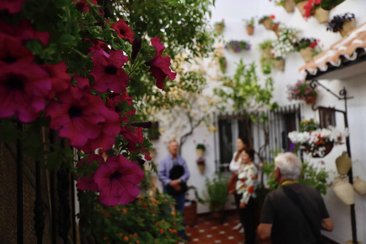 La ruta de los patios de San Lorenzo, en imágenes
