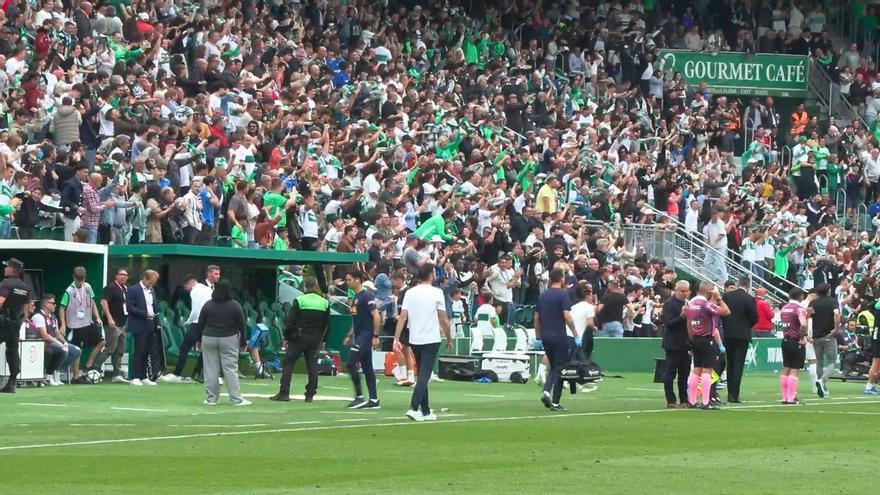 El monumental enfado de Carlos Corberán tras el gol del Elche CF ante el Valencia CF en el Martínez Valero