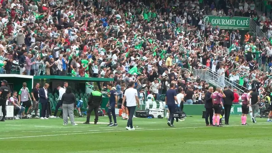 El monumental enfado de Carlos Corberán tras el gol del Elche CF ante el Valencia CF en el Martínez Valero