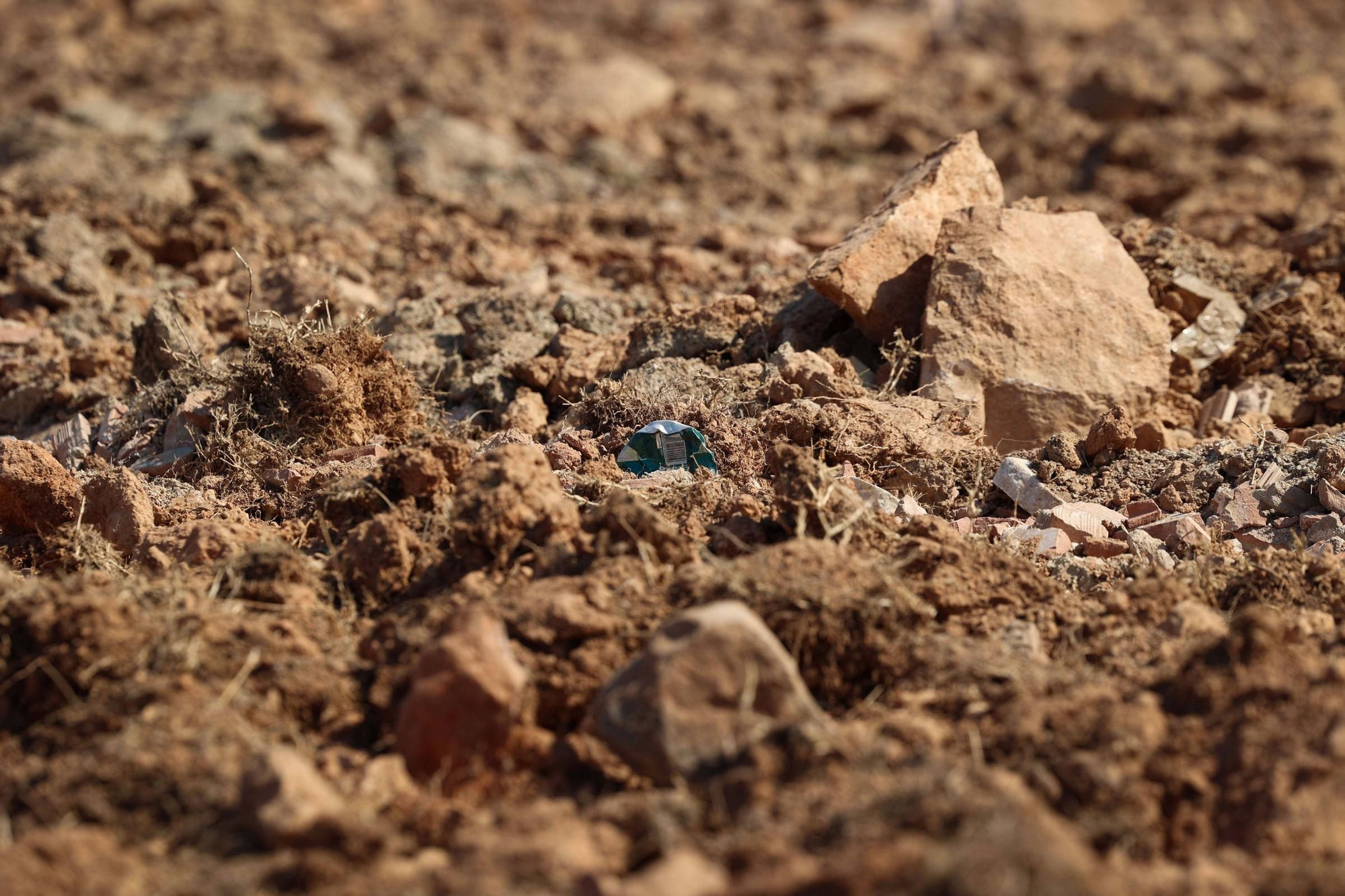 Galería: terreno de Can Rova II completamente despejado por el Ayuntamiento