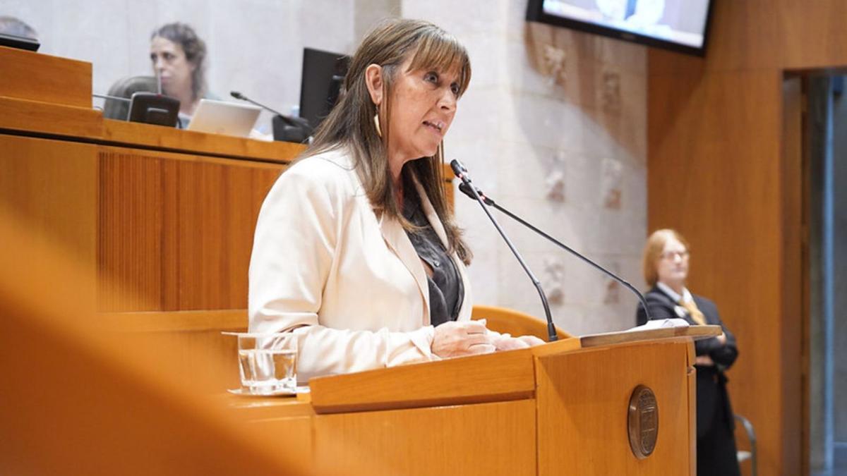 La consejera de Sanidad del Gobierno de Aragón, Sira Repollés, ayer durante su intervención en el pleno de las Cortes.  | CORTES DE ARAGÓN