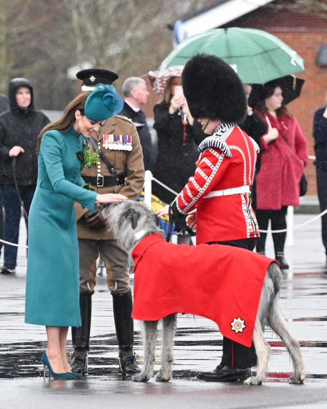 Kate Middleton acaricia a la mascota de la Guardia Irlandesa en San Patricio