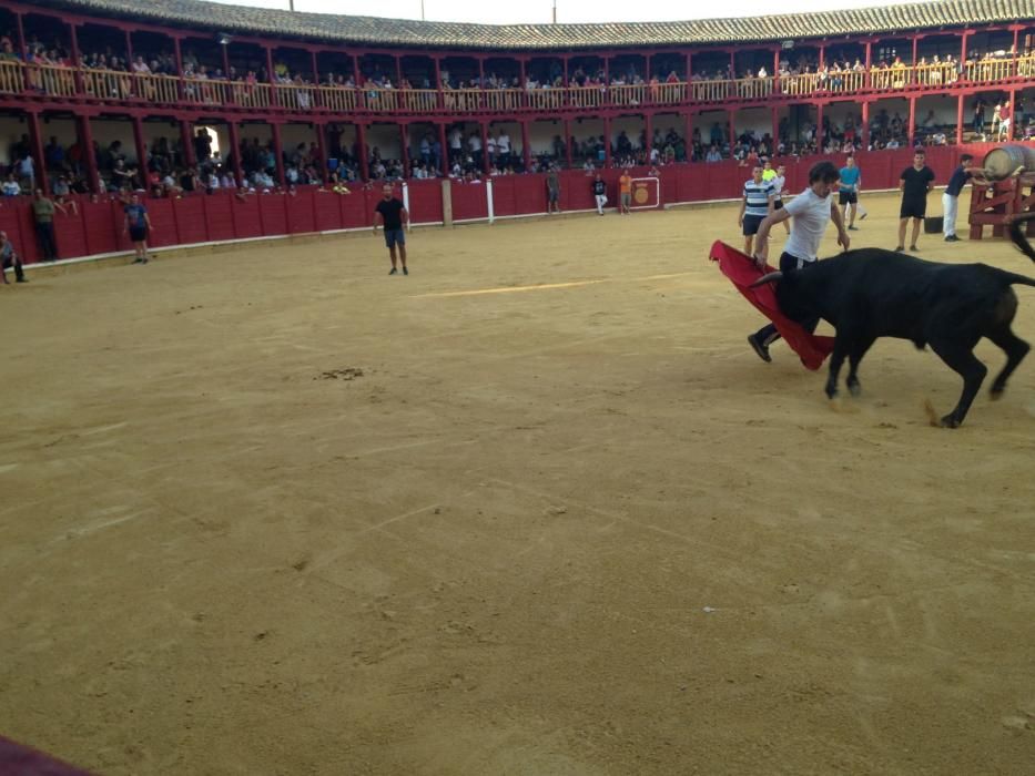 Fiestas Toro- concurso de jóvenes cortadores