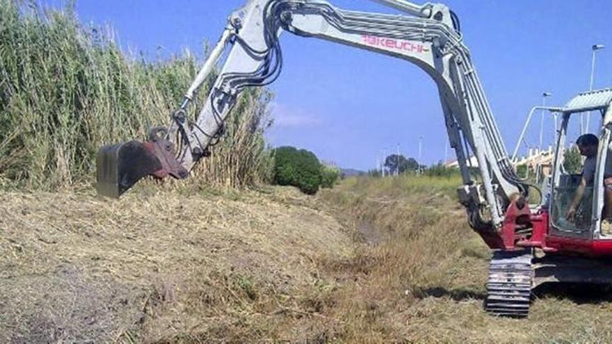 El Consell Agrari empleará a 102 personas en agosto