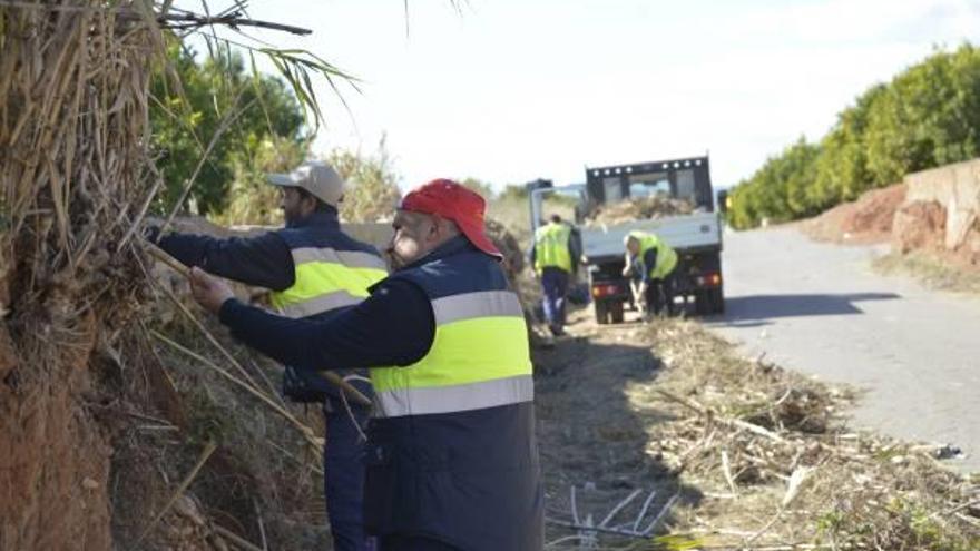 Operarios desbrozando y limpiando caminos de la periferia.