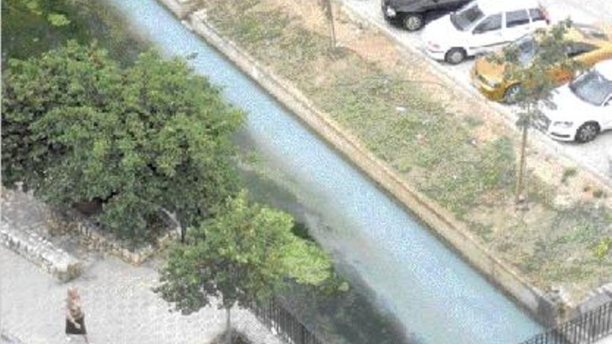 Un vertido causa la muerte de peces en el río Sants en Canals