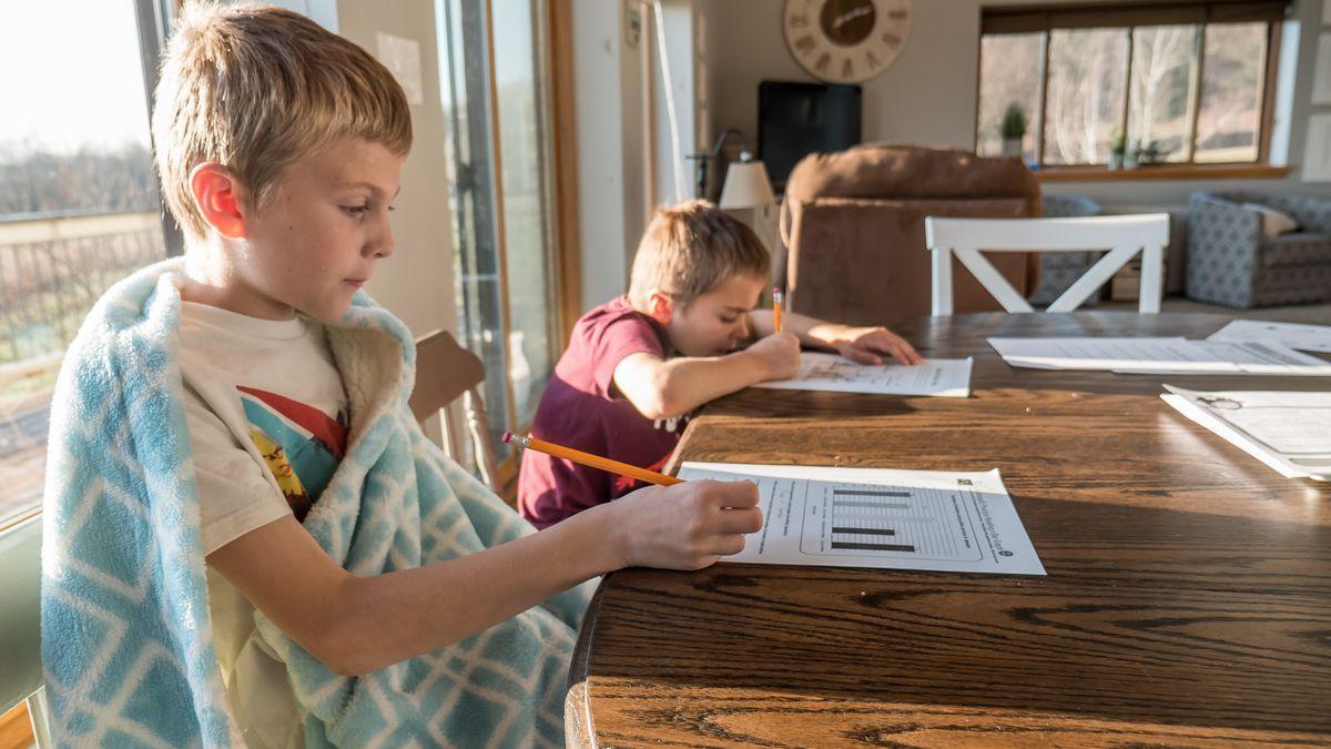 Dos niños repasan con sus libros de trabajo