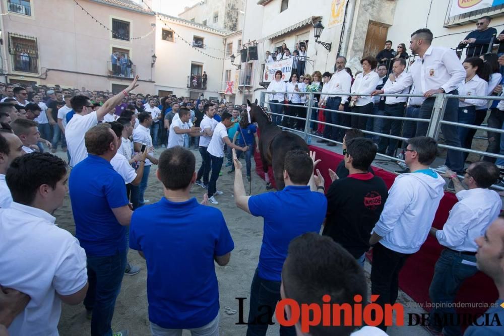 Caballo a pelo Caravaca (Desfile)