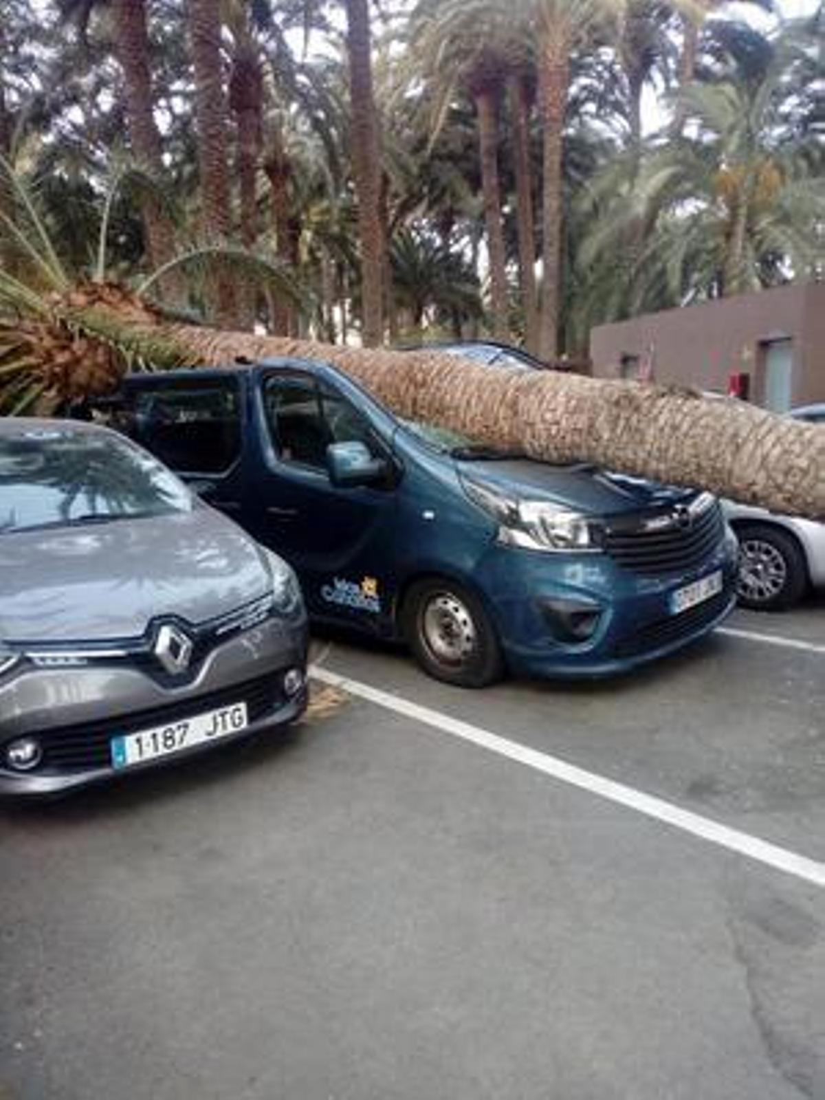 Registran más de 800 incidentes por el viento en Canarias Registran más de 800 incidentes por el viento en Canarias