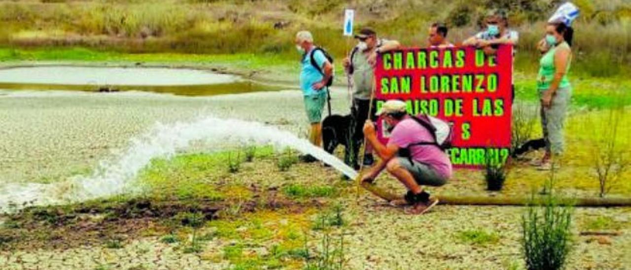 Los ecologistas intentan mantener viva la última charca de San Lorenzo