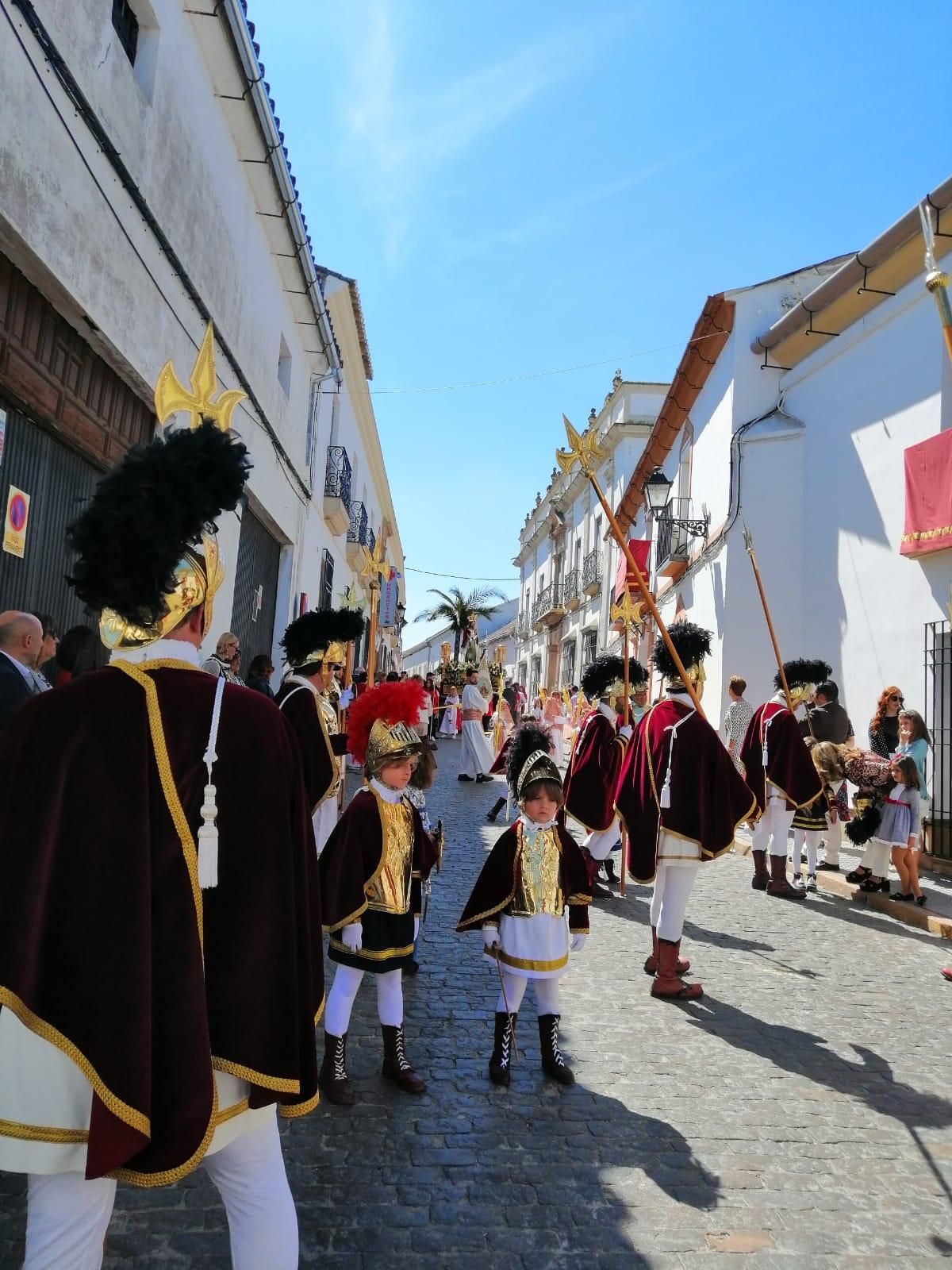 Domingo de Ramos en la provincia