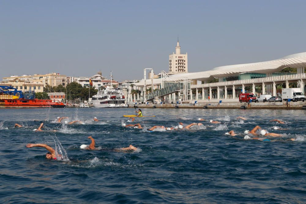 Este domingo se ha celebrado la 60ª edición de la Travesía a Nado del Puerto de Málaga, en la que han participado casi medio millar de nadadores