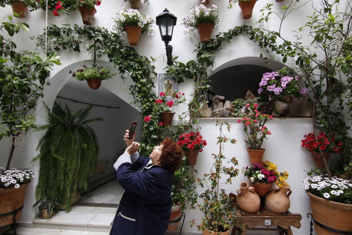 Paseando por el Alcázar Viejo