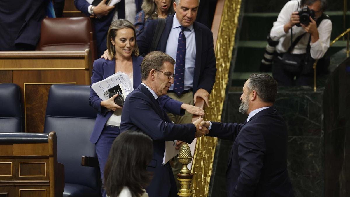Alberto Núñez Feijóo y Santiago Abascal se saludan en el pleno del Congreso.