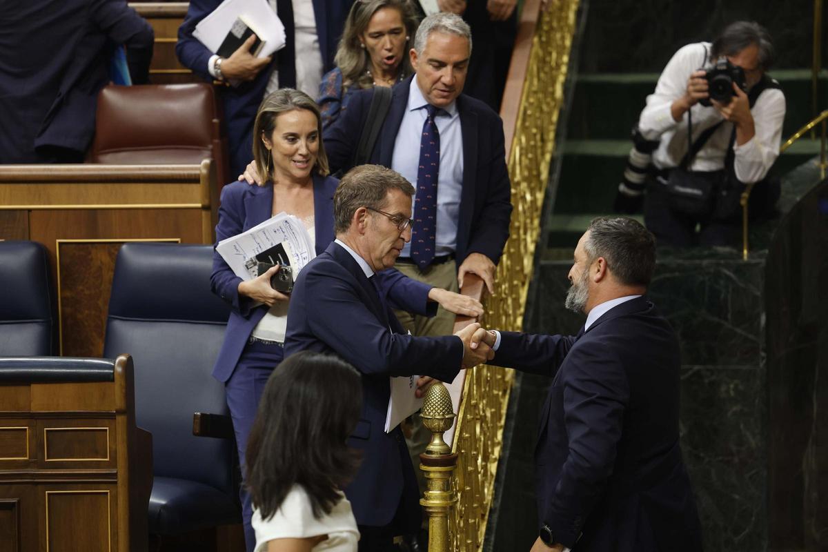 Alberto Núñez Feijóo y Santiago Abascal se saludan en el pleno del Congreso.