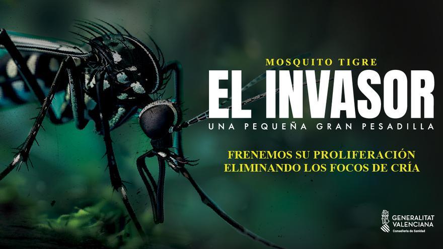 Sanidad insta a evitar los focos de cría del mosquito tigre que puede transmitir zika, dengue o chikungunya