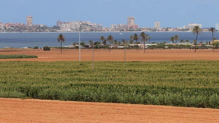 Los vecinos recogen fondos para ser acusación popular en el caso Mar Menor