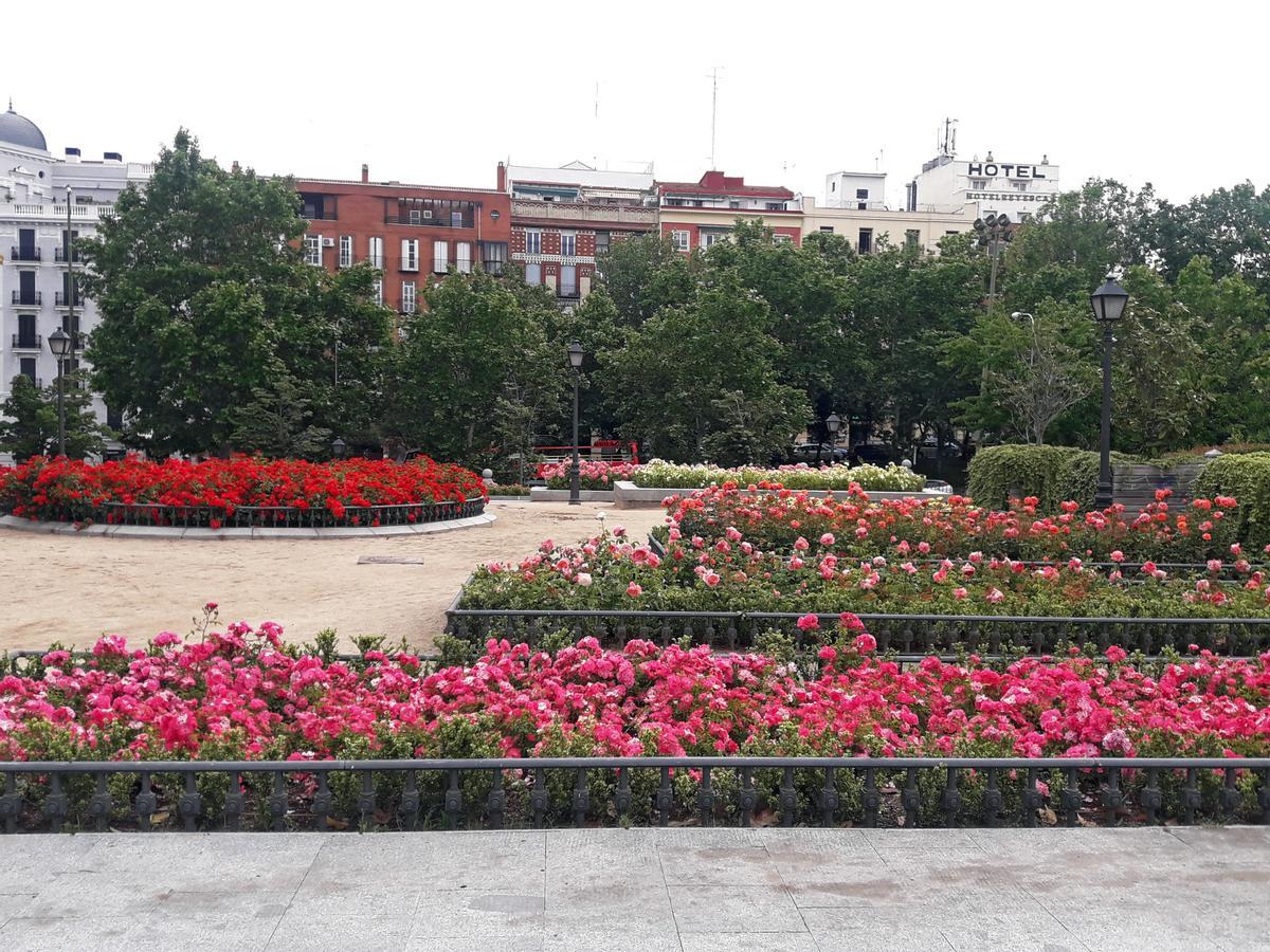 Más allá del Retiro: conoce los jardines escondidos del centro de Madrid