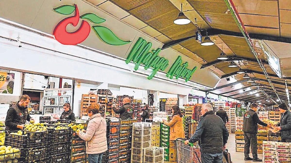 Málaga Natural fue fundada en el año 2012 y trabaja con frutas y verduras procedentes de cualquier rincón del planeta. | L.O.