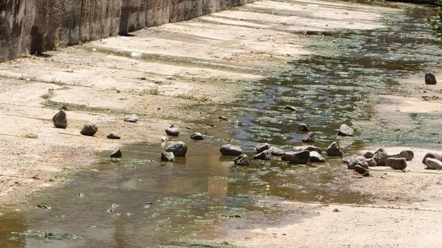 El vandalismo se ceba con el arroyo de Calamonte una semana 