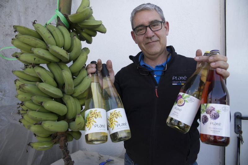 Reportaje sobre el vino de plátano .  Platé , la bodega de El Sauzal que lo empezó a producir en Tenerife , y de su creador , Carlos Guevara  | 23/01/2020 | Fotógrafo: Delia Padrón