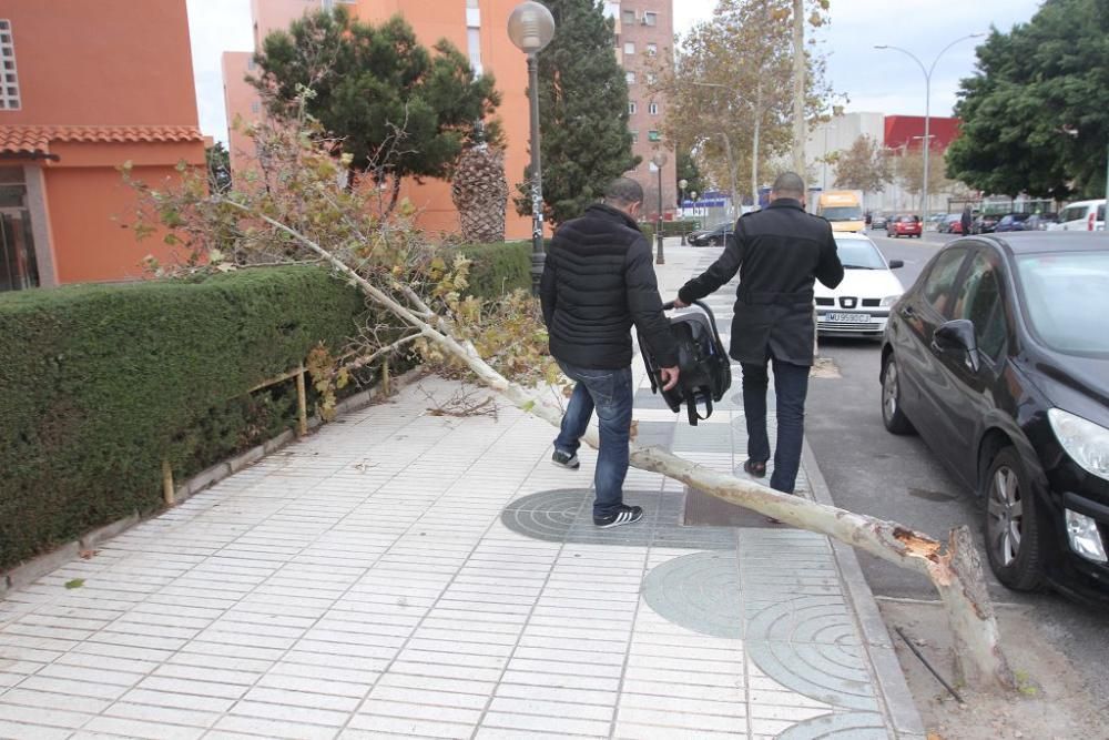 La borrasca Ana, a su paso por Cartagena