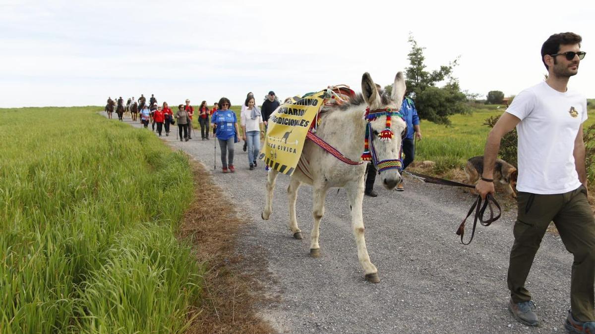 Hinojosa celebra una marcha en defensa de la Cañada Real