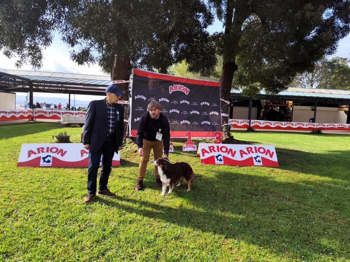 Asistentes al Campeonato Nacional Canino de la isla de A Toxa.