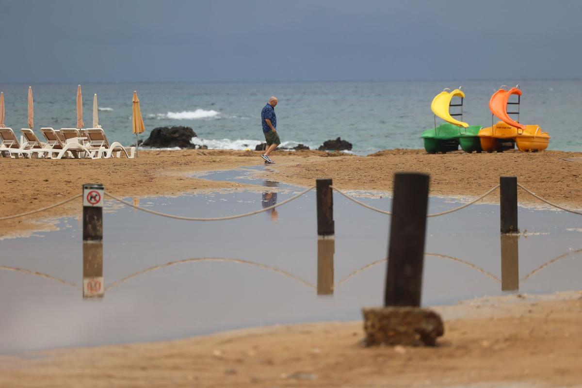 240815DIB_Marcelo Sastre_203492249.jpg