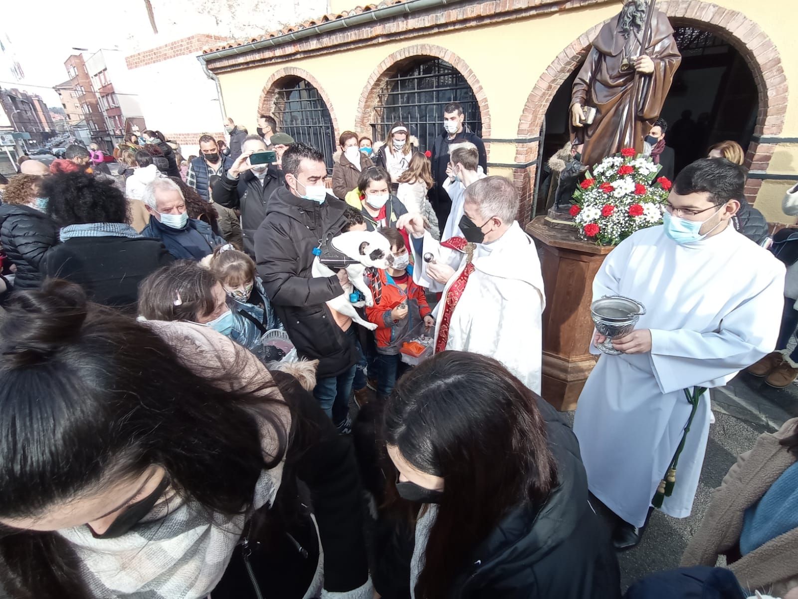 Gallos, cobayas y hasta bichos palo, así fue la bendición de las mascotas por San Antón en Lugones