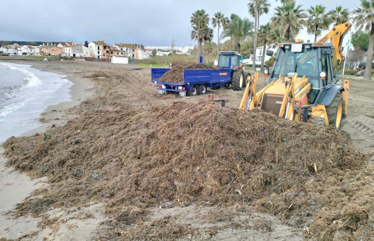 Trabajos urgentes desplegados estos días en el litoral de Casares. | L. O.