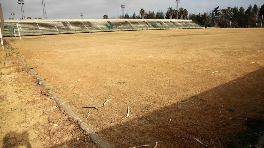 Imagen del campo de césped de la Ciudad Deportiva, totalmente seco.