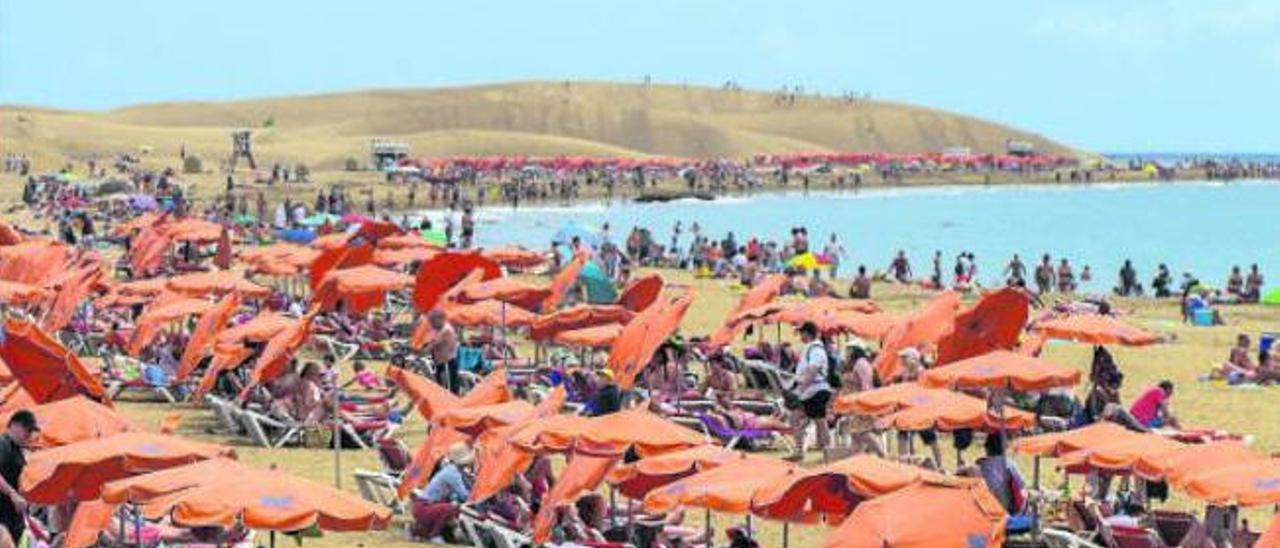 Sector de hamacas y sombrillas de la playa de Maspalomas.