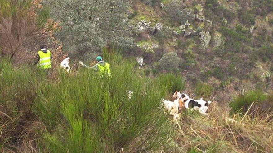 Desarrollo de una montería en Arribes.