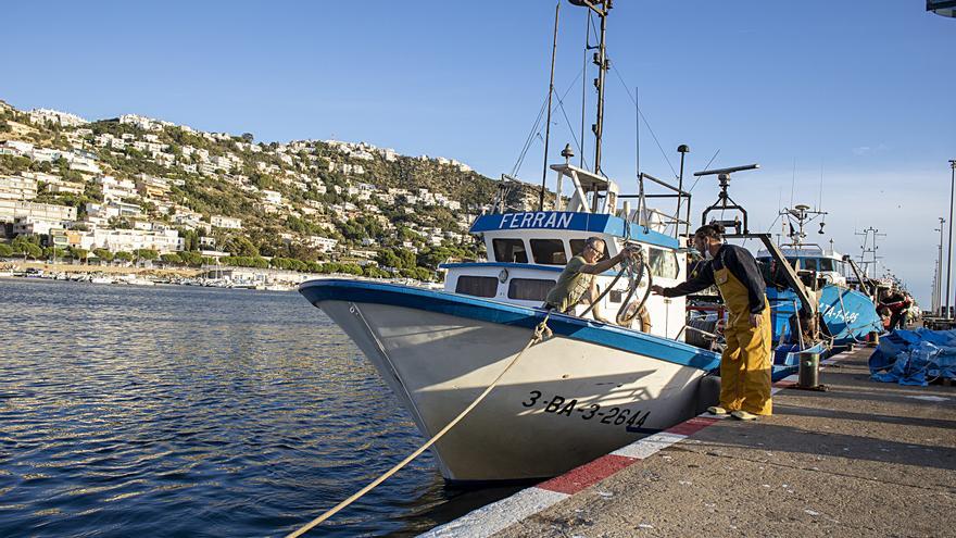 El Govern crea el programa de recopilació de dades per a la pesca professional i de lleure