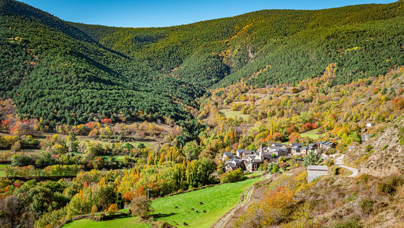 El entorno natural del Tren de los Lagos en Lleida