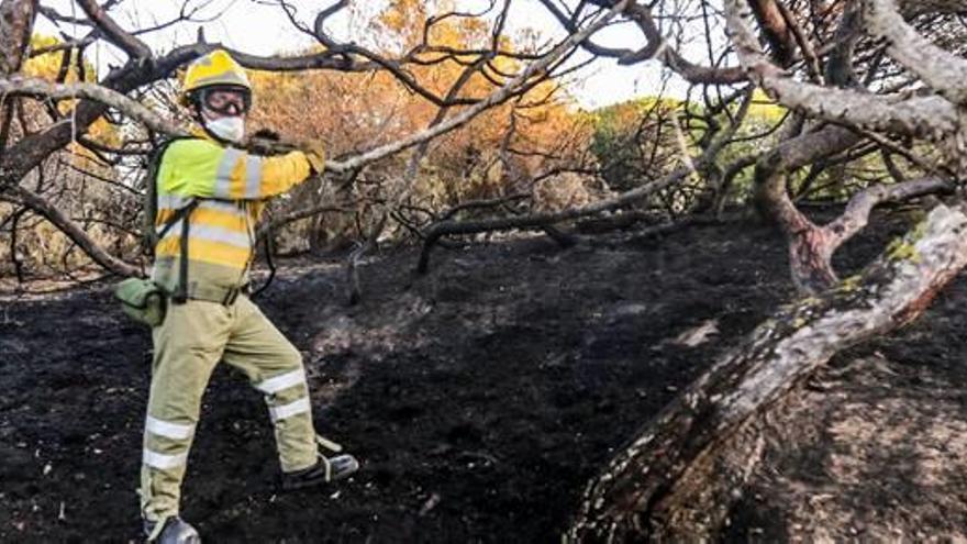 Una imagen de labores de extinción estos días en Guardamar del Segura.