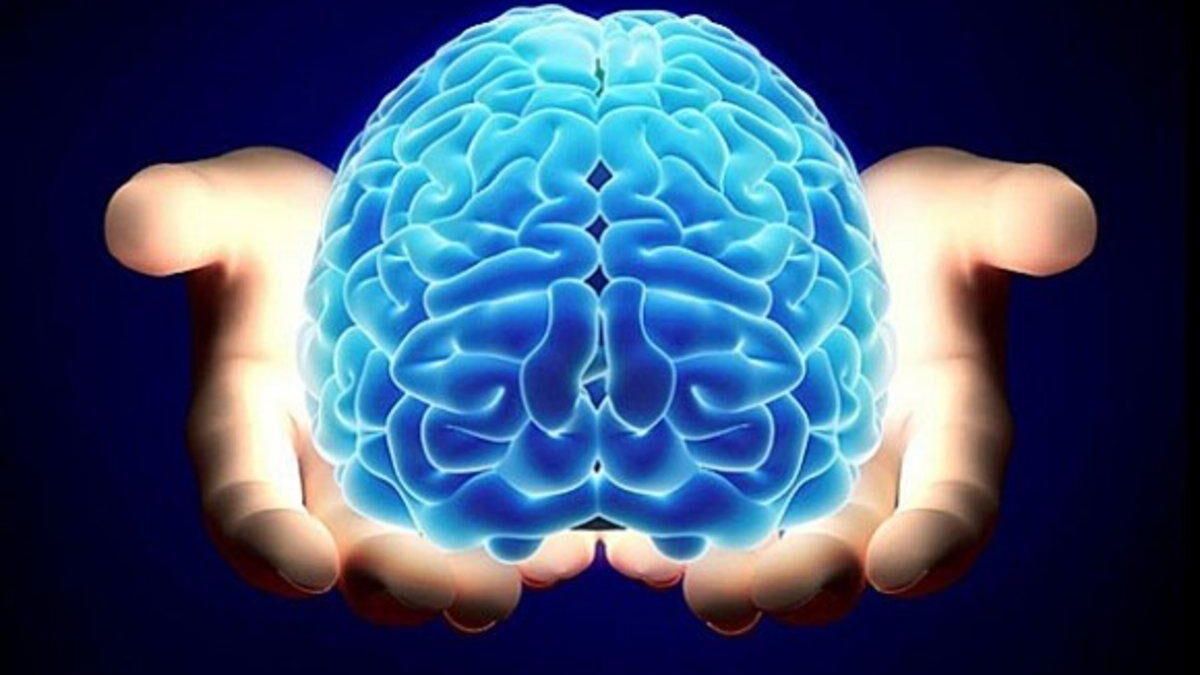 “Cuando no dormimos, el cerebro se come a sí mismo”: la advertencia del farmacéutico Alejandro Fernández
