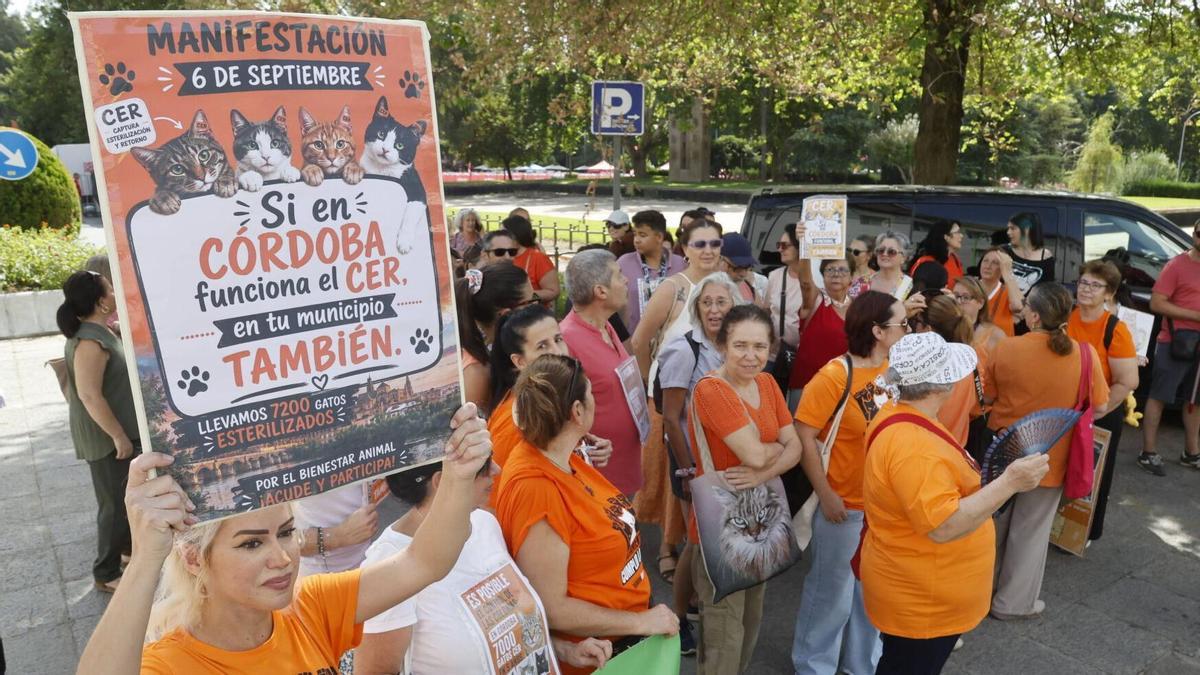 Las protectoras reivindican en Córdoba la gestión de los gatos comunitarios: 67 céntimos por vecino y 7.200 esterilizaciones