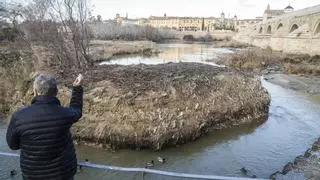 Córdoba contará con una comisión de vertidos de aguas residuales urbanas que podrá multar a quien contamine