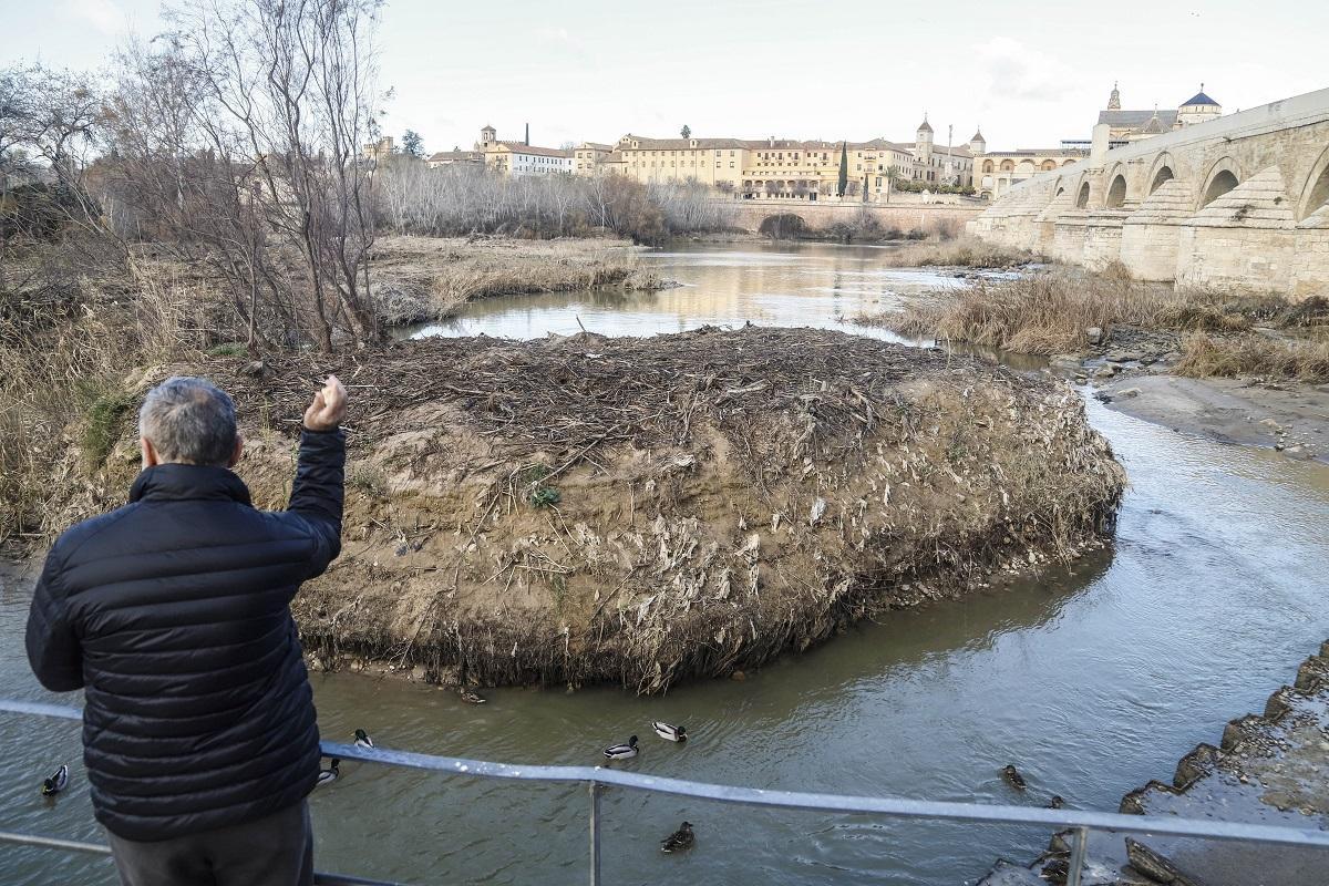 Islote de toallitas, sedimentos y lodo en el río Guadalquivir, a su paso por Córdoba.