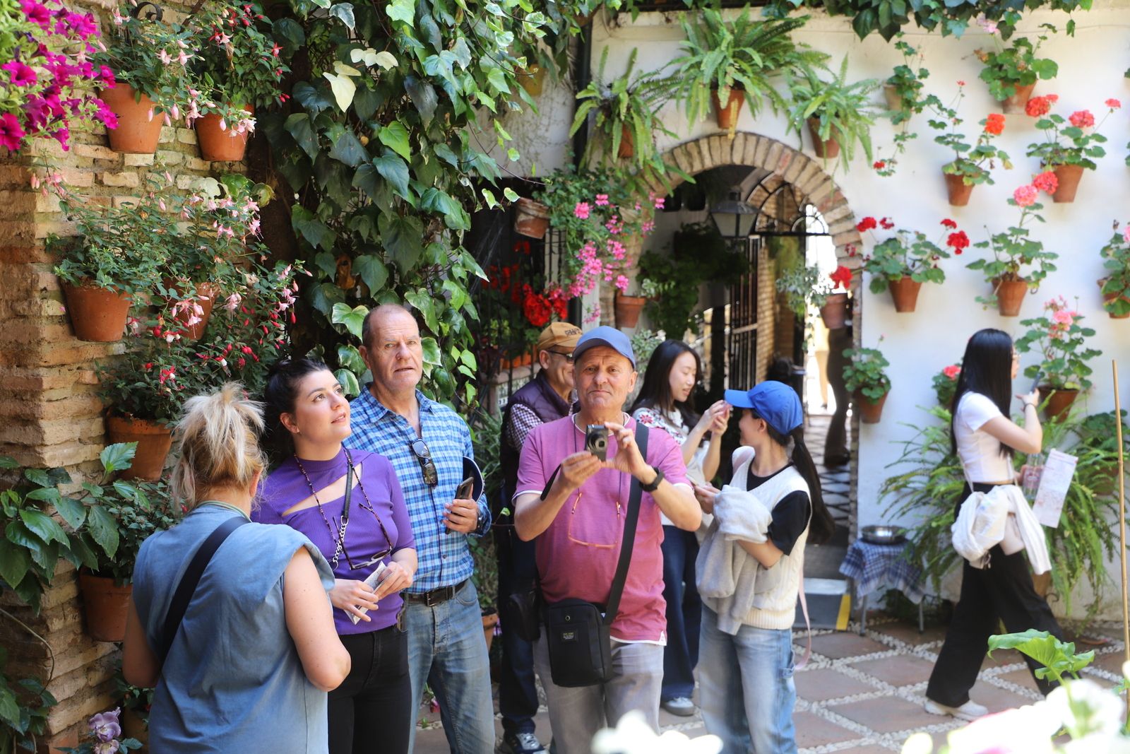 La Ruta 3 de los Patios de Córdoba, en imágenes