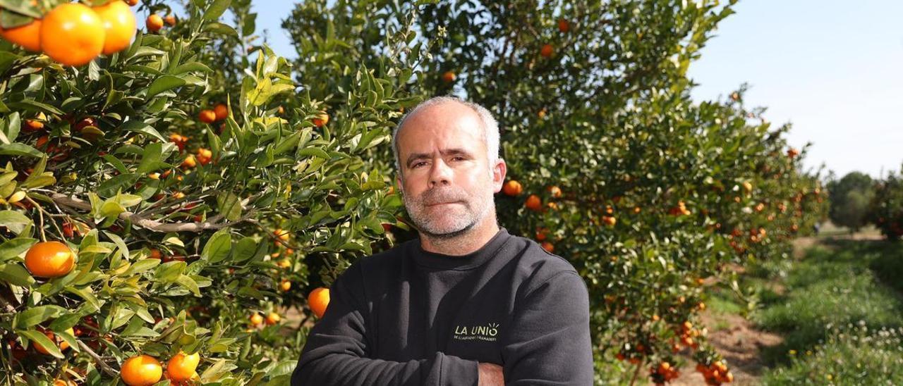 El secretario general de la Unió, Carles Peris, en un huerto de cítricos ubicado en les Alqueries.