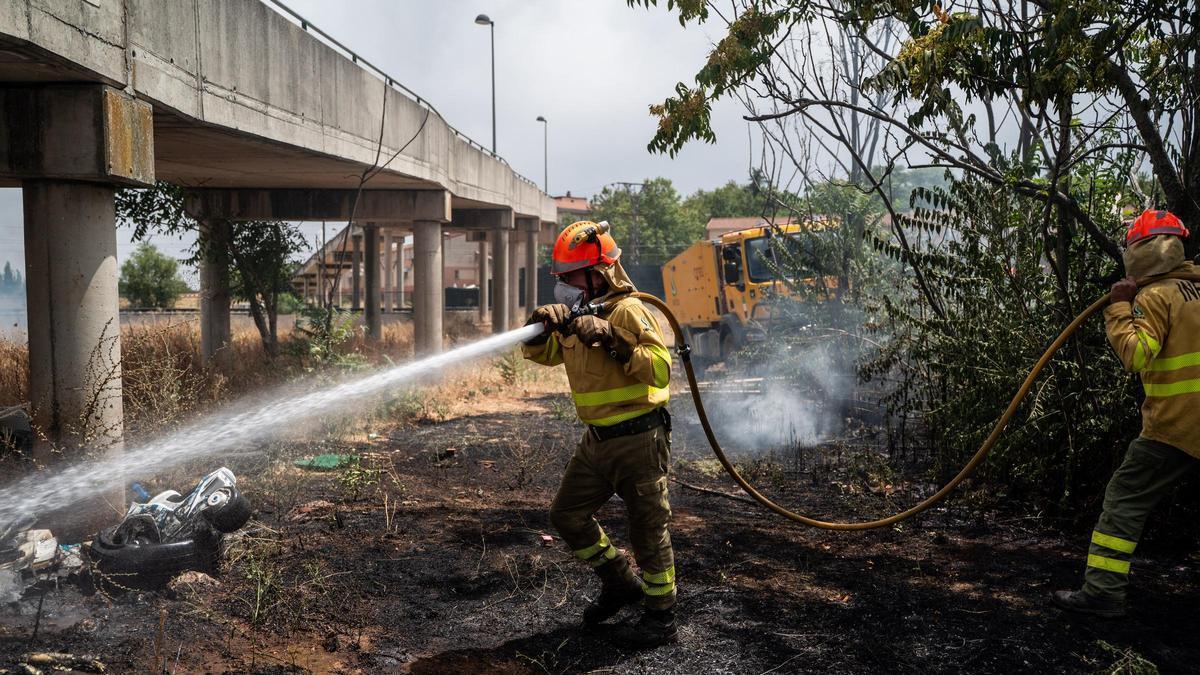 Vídeo | Los bomberos sofocan un incendio en Cáceres que ha arrasado en apenas media hora una gran parcela