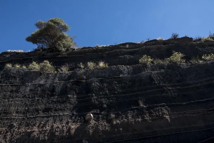 LAS PALMAS DE GRAN CANARIA A26/05/2017. Sendero de la ciudad de LPGC. Ruta Caldera de Bandada. FOTO: J.PÉREZ CURBELO