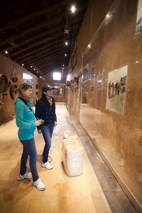 FUERTEVENTURA .  - MUSEO DE  LA CILLA  - LA OLIVA -